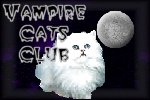 vampire cats club banner